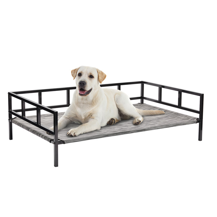 Dog bed outlet with metal frame